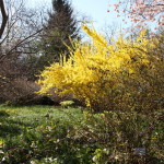 Botanischer_Garten_07