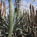 Botanischer_Garten_17