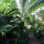 Botanischer_Garten_43