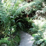 Botanischer_Garten_45