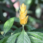Botanischer_Garten_46