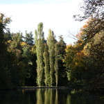 Schlosspark_Nymphenburg_31