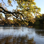 Schlosspark_Nymphenburg_38