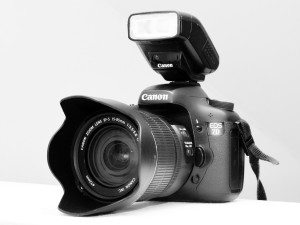 7d