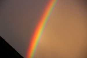 regenbogen_10